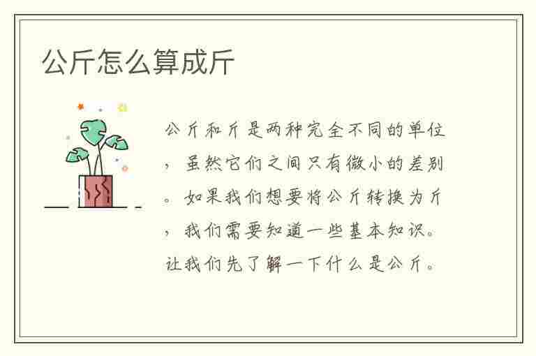 公斤怎么算成斤(公斤怎么算成斤超市)